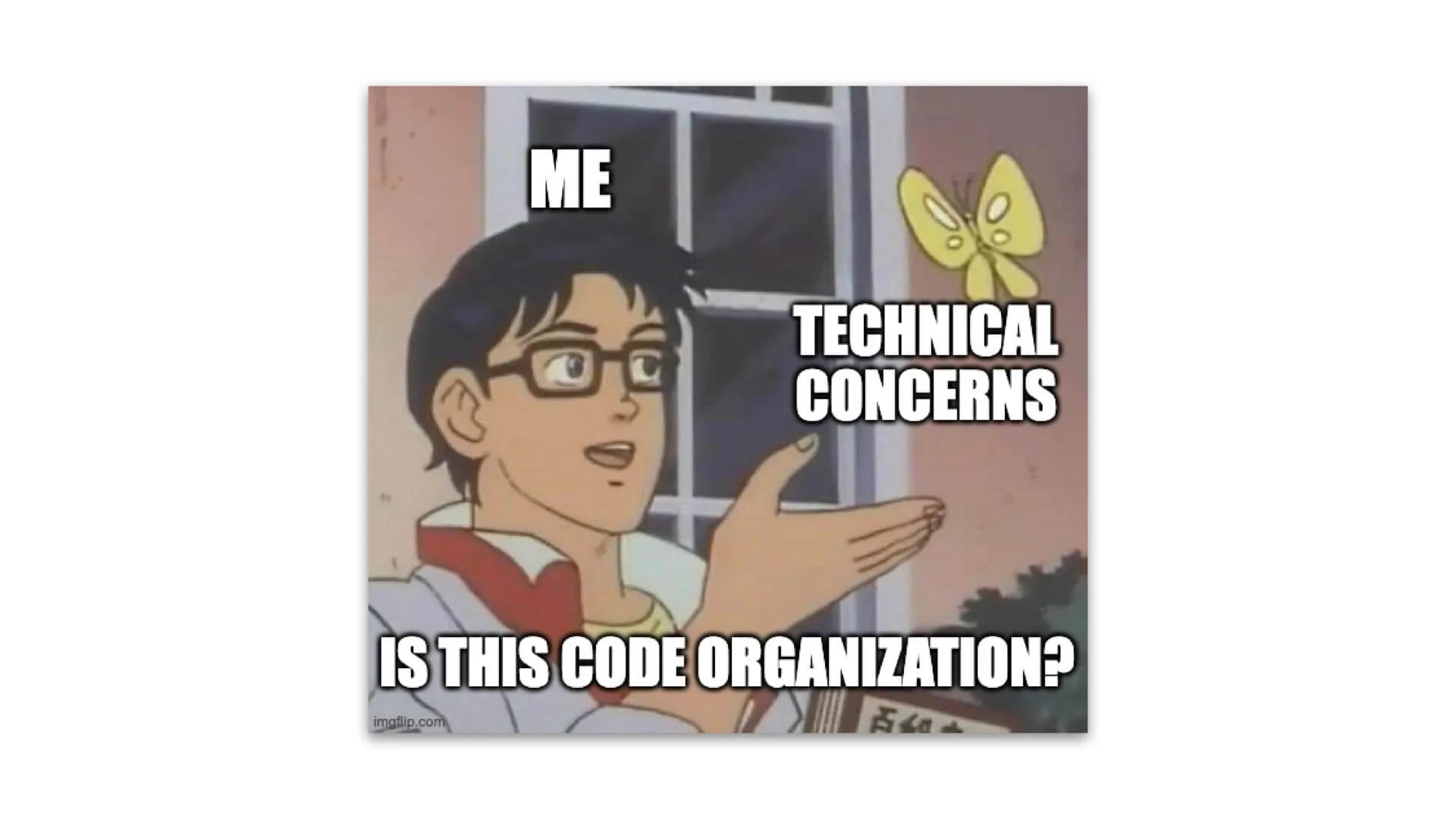 A meme of "is this a butterfly" where the person asking the question is me, the butterfly is "technical concerns" and the question is, "is this code organization?"